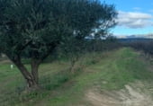 Non-developable land for sale on Camí de les Cocolles, Ginestar, ref: TR213912 photo