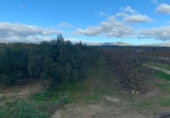 Non-developable land for sale on Camí de les Cocolles, Ginestar, ref: TR213912 photo