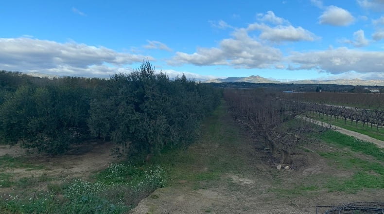 Tarragona - Ginestar - 779m2