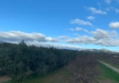 Non-developable land for sale on Camí de les Cocolles, Ginestar, ref: TR213912 photo