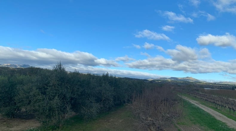 Tarragona - Ginestar - 779m2