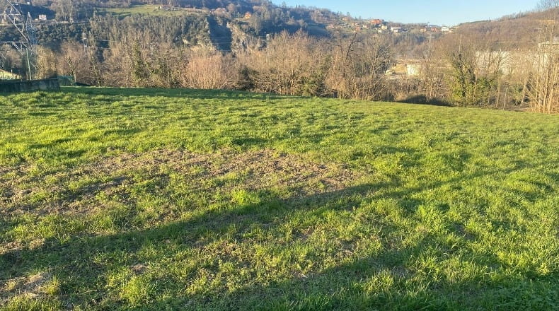 Asturias - Soto de Ribera - 4306m2