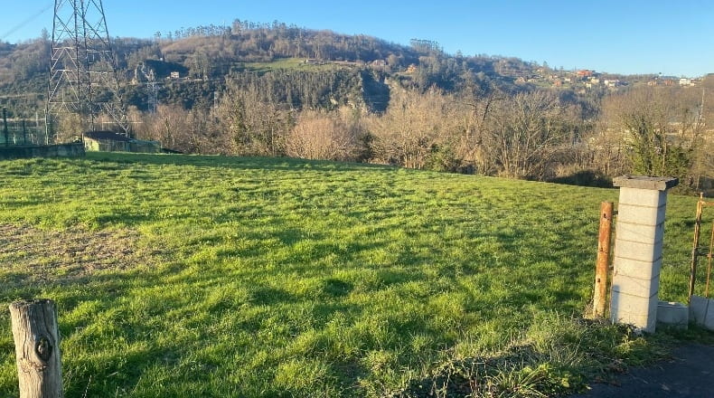 Asturias - Soto de Ribera - 4306m2