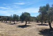 Rural estate for sale on Camino de Madacerrea, Cúllar, ref: TR214026 photo