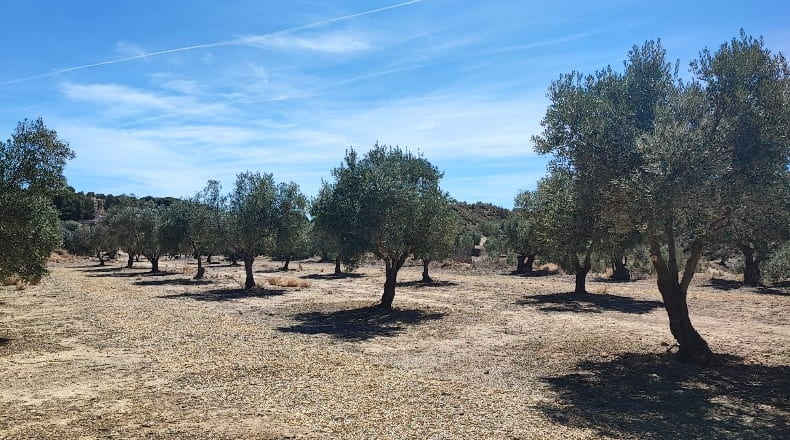 Granada - Cúllar - 750000m2