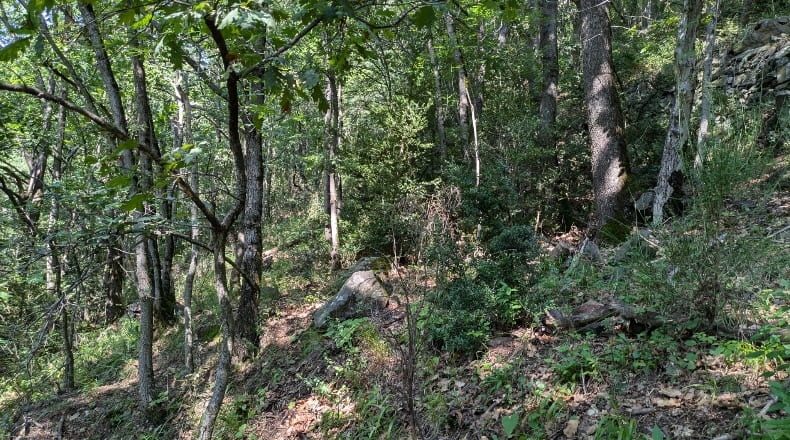 Gerona - Nevà - 6191m2
