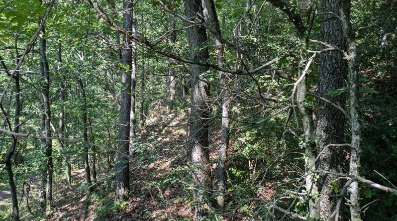 Gerona - Nevà - 6191m2