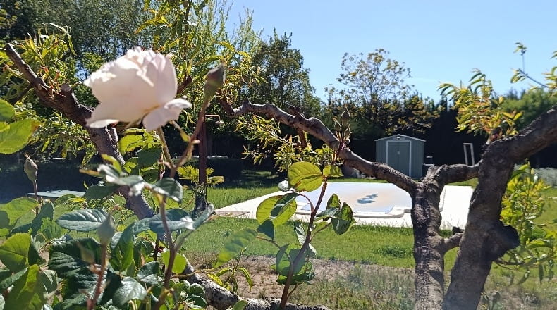 Zaragoza - Tarazona - 2900m2