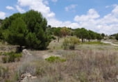 Land suitable for development for sale on Carretera de Cebreros a Robledo de Chavela, Cebreros, ref: TR214254 photo