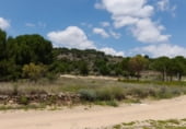 Land suitable for development for sale on Carretera de Cebreros a Robledo de Chavela, Cebreros, ref: TR214254 photo