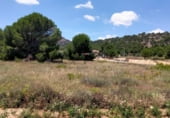 Land suitable for development for sale on Carretera de Cebreros a Robledo de Chavela, Cebreros, ref: TR214254 photo