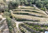 Non-developable land for sale on 33X2+98C CASAS DEL CASTAÑAR, Casas del Castañar, ref: TR214352 photo