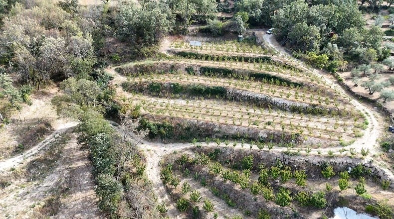 Cáceres - Casas del Castañar - 34300m2