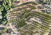 Non-developable land for sale on 33X2+98C CASAS DEL CASTAÑAR, Casas del Castañar, ref: TR214352 photo