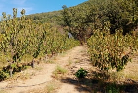 Casas del Castañar 34300&nbsp;m²