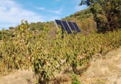 Non-developable land for sale on 33X2+98C CASAS DEL CASTAÑAR, Casas del Castañar, ref: TR214352 photo
