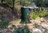 Non-developable land for sale on 33X2+98C CASAS DEL CASTAÑAR, Casas del Castañar, ref: TR214352 photo