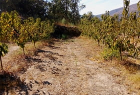 Casas del Castañar 34300&nbsp;m²