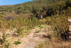 Casas del Castañar 34300&nbsp;m²