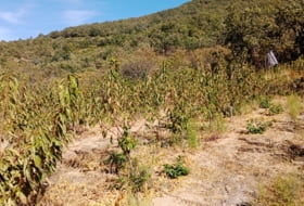 Casas del Castañar 34300&nbsp;m²