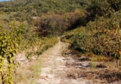 Non-developable land for sale on 33X2+98C CASAS DEL CASTAÑAR, Casas del Castañar, ref: TR214352 photo