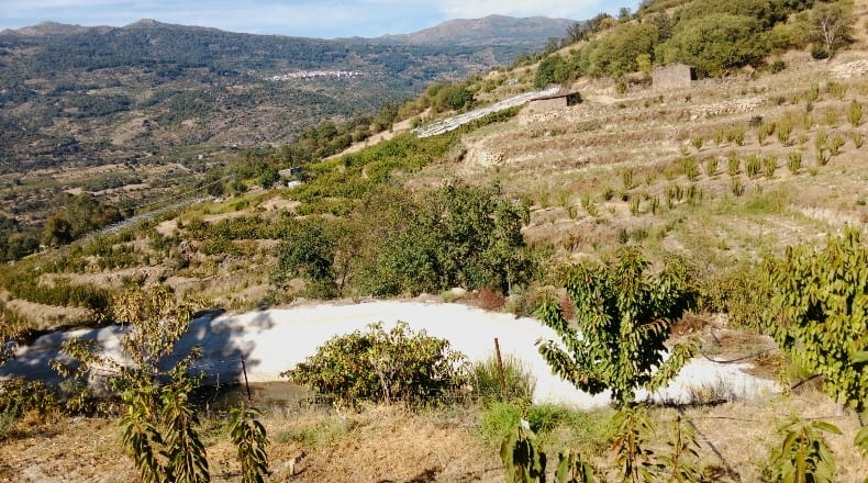 Cáceres - Casas del Castañar - 34300m2