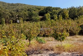 Casas del Castañar 34300&nbsp;m²