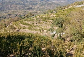 Casas del Castañar 34300&nbsp;m²