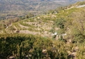 Non-developable land for sale on 33X2+98C CASAS DEL CASTAÑAR, Casas del Castañar, ref: TR214352 photo