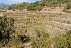 Casas del Castañar 34300&nbsp;m²