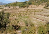 Non-developable land for sale on 33X2+98C CASAS DEL CASTAÑAR, Casas del Castañar, ref: TR214352 photo