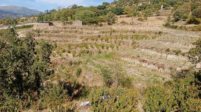 Cáceres - Casas del Castañar - 34300m2
