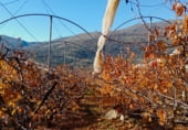 Terreno no urbanizable en venta en la 4322+F4V Casas del Castañar, Cabrero, ref: TR214669 foto