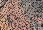 Non-developable land for sale on POLIGONO 10 - PARCELA 19, Villanueva de la Reina, ref: TR214742 photo