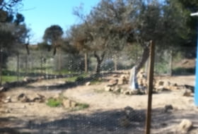 Batea 14000&nbsp;m² 