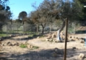 Masia amb terreny en venda a la les Torres, Batea, ref.: TR214751 foto