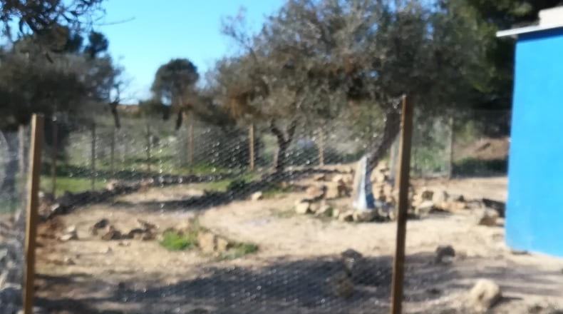 Tarragona - Batea - 14000m2