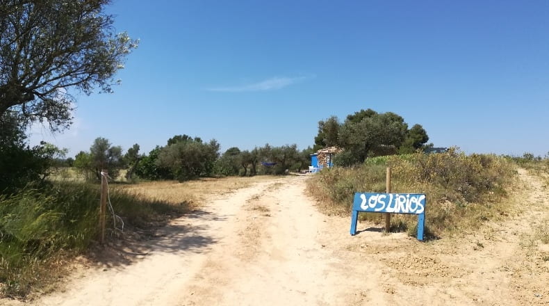 Tarragona - Batea - 14000m2