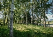 Отдельно стоящий дом с участком на продажу в городе La Vecilla de Curueño Фото