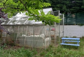 Foto 6