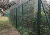 Land suitable for development for sale on Carrer de Santa Bàrbara, sa Torre, ref: TR214758 photo