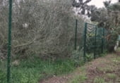 Land suitable for development for sale on Carrer de Santa Bàrbara, sa Torre, ref: TR214758 photo