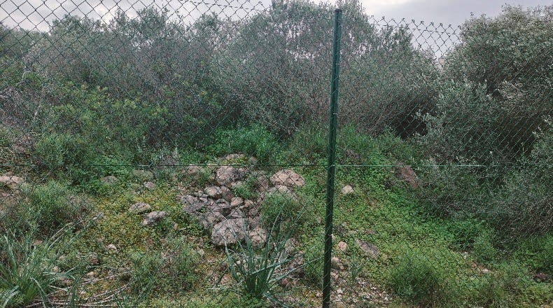 Islas Baleares - sa Torre - 1217m2