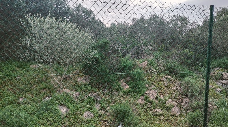 Islas Baleares - sa Torre - 1217m2