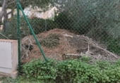 Land suitable for development for sale on Carrer de Santa Bàrbara, sa Torre, ref: TR214758 photo