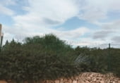 Land suitable for development for sale on Carrer de Santa Bàrbara, sa Torre, ref: TR214758 photo