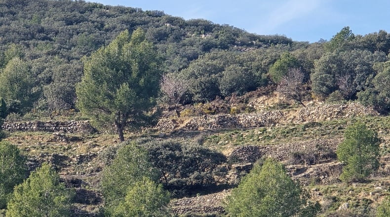 Castellón - Lucena del Cid - 73357m2