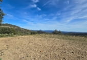 Non-developable land for sale on Camí del mas de Palanques, Llucena, ref: TR214861 photo