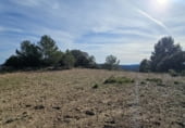 Non-developable land for sale on Camí del mas de Palanques, Llucena, ref: TR214861 photo
