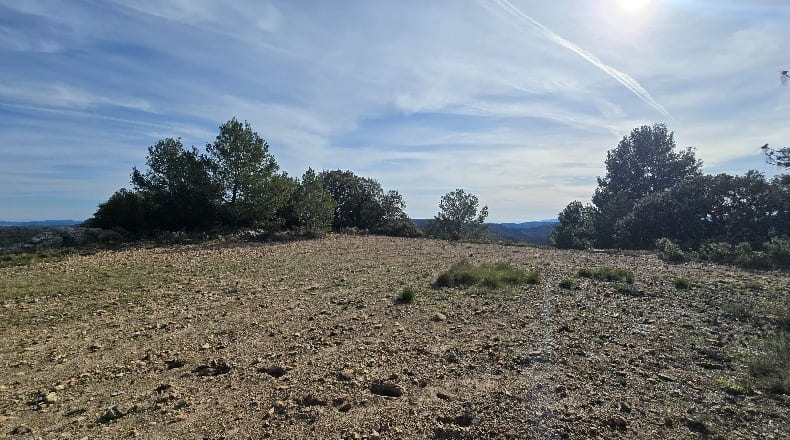Castellón - Lucena del Cid - 73357m2